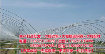 蔬菜30 70椭圆管 30 70椭圆管 椭圆管