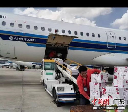 南航物流携手广东省农业农村厅助力‘荔’启航，广州物流赋能现代农业新篇章
